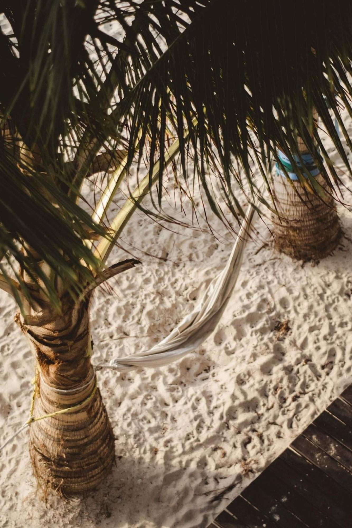 Pronoia Casa De Playa Villa Mahahual Luaran gambar